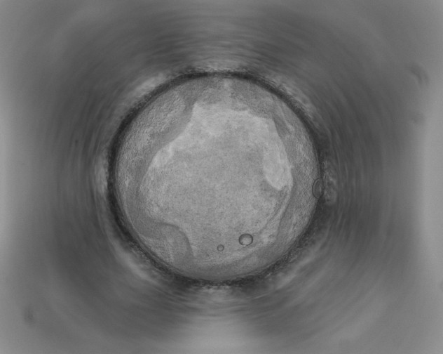 X0000113920631200910151440