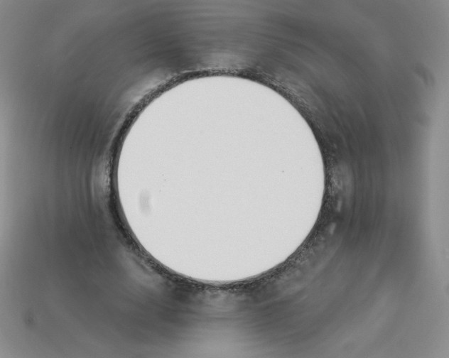 X0000113920632200910151440