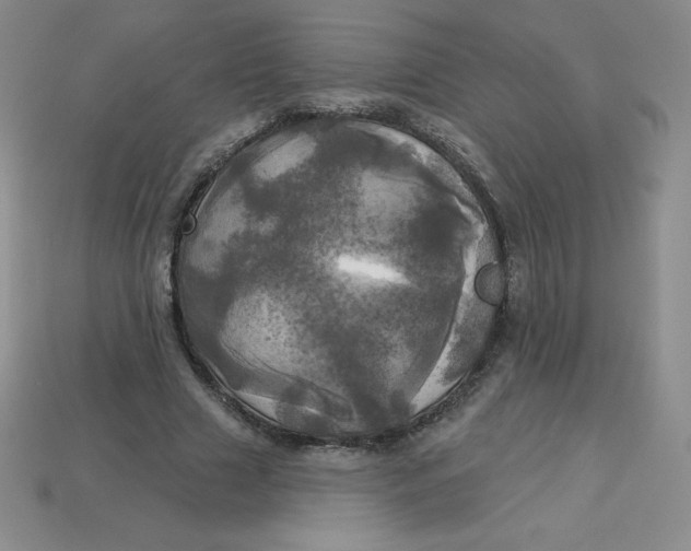 X0000113920633200910151440