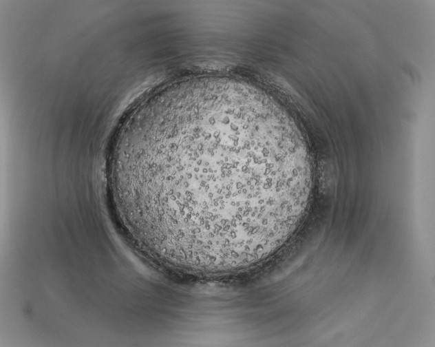 X0000113920634200910151440