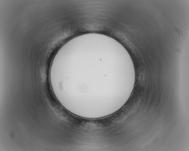 X0000113920635200910151440