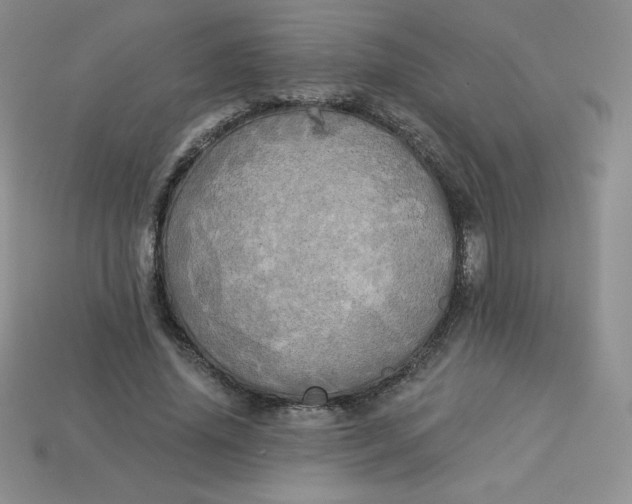 X0000113920636200910151440
