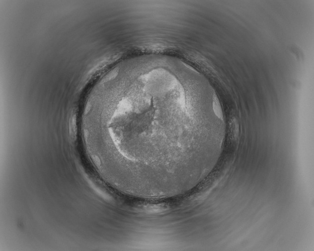 X0000113920638200910151440