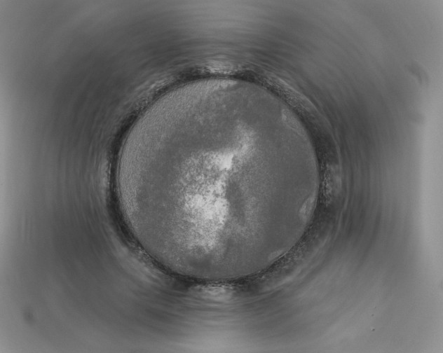 X0000113920639200910151440