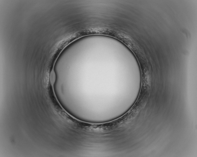 X0000113920640200910151440