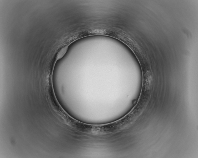 X0000113920641200910151440