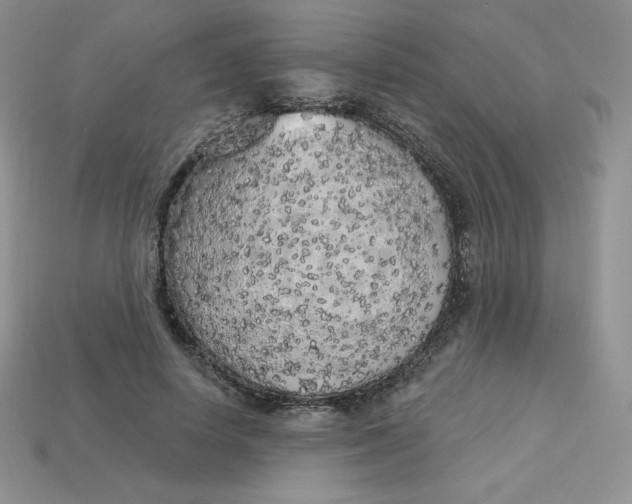 X0000113920642200910151440