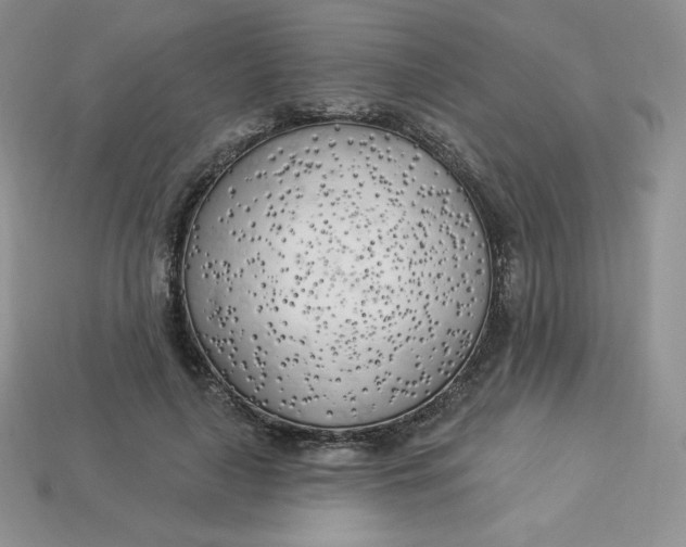 X0000113920643200910151440