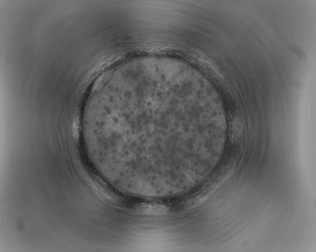X0000113920644200910151440
