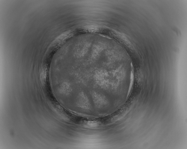 X0000113920645200910151440