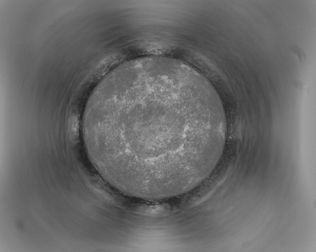 X0000113920646200910151440