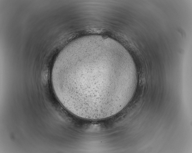 X0000113920647200910151440