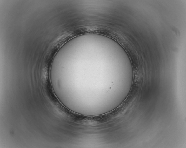 X0000113920648200910151440