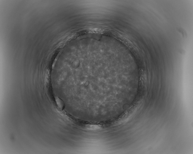 X0000113920649200910151440
