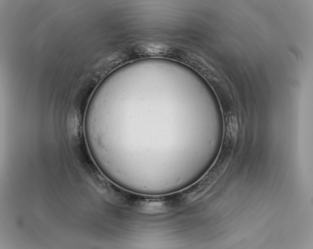 X0000113920651200910151440
