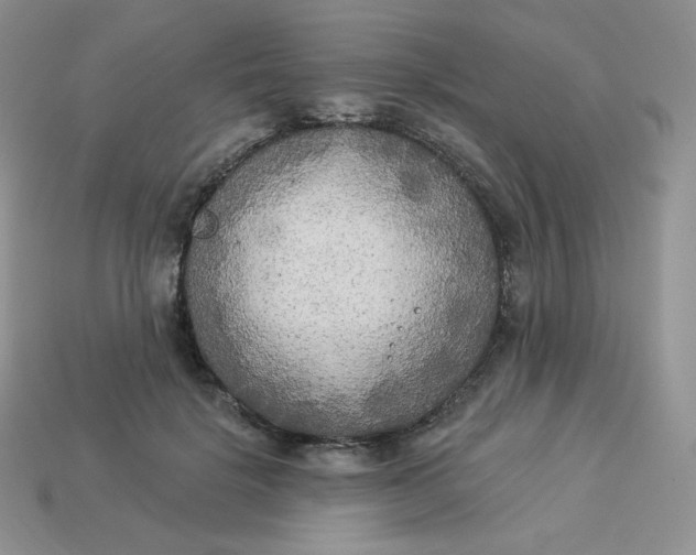 X0000113920652200910151440