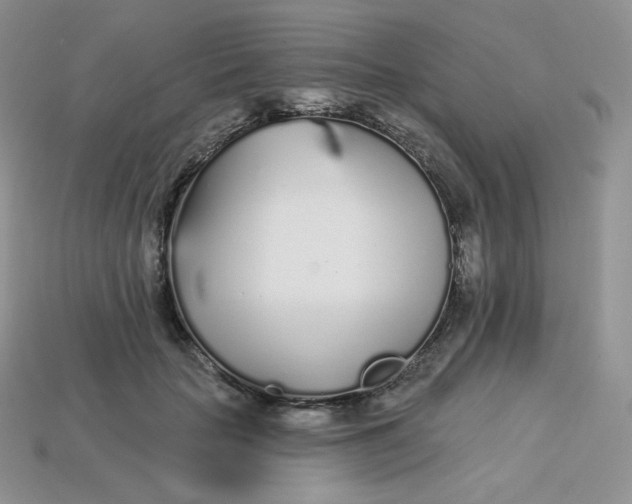 X0000113920653200910151440
