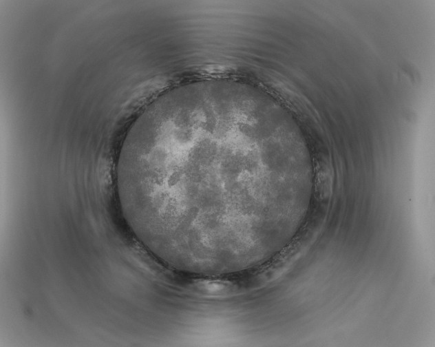 X0000113920654200910151440