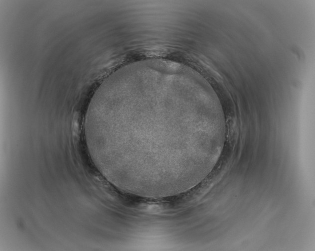 X0000113920655200910151440
