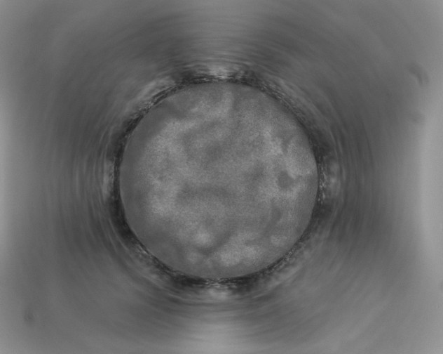 X0000113920656200910151440