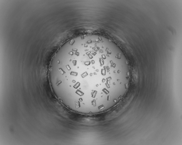 X0000113920657200910151440