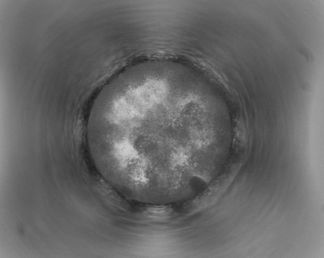 X0000113920659200910151440