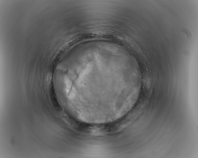 X0000113920660200910151440