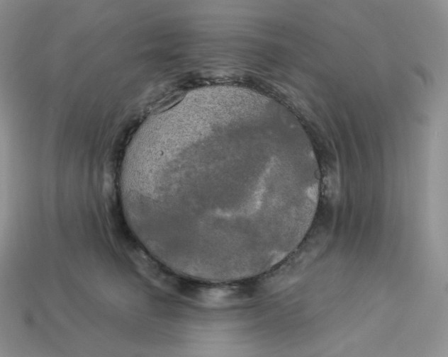 X0000113920662200910151440