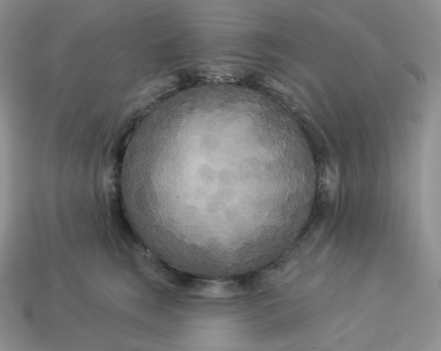 X0000113920663200910151440