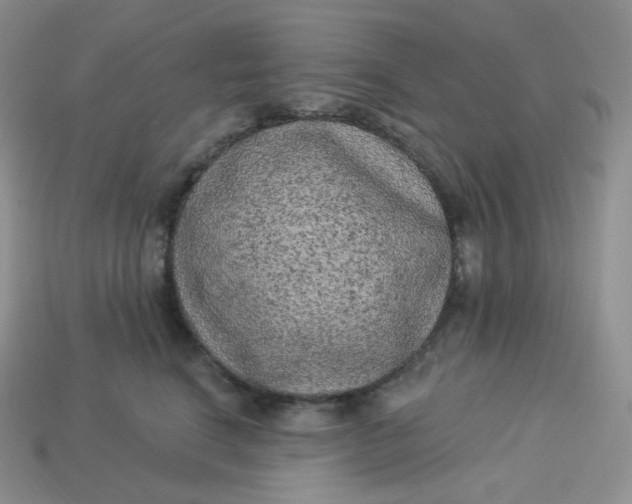 X0000113920664200910151440