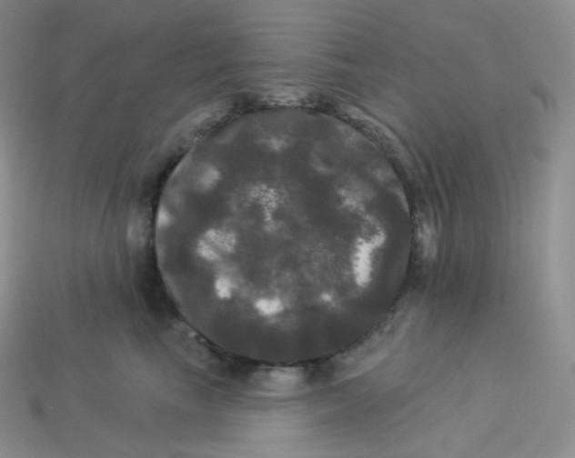 X0000113920665200910151440