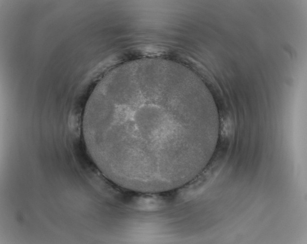 X0000113920666200910151440