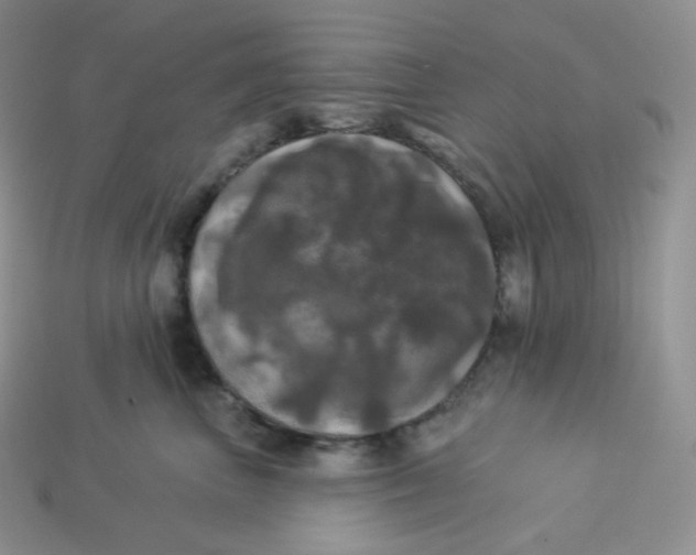 X0000113920667200910151440