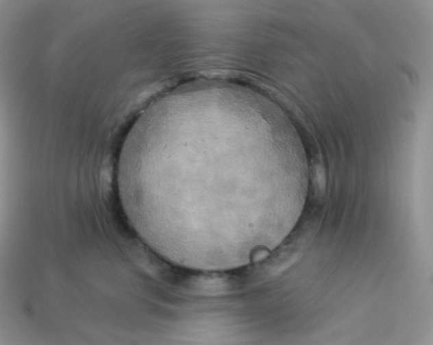 X0000113920668200910151440