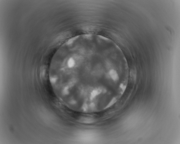 X0000113920671200910151441