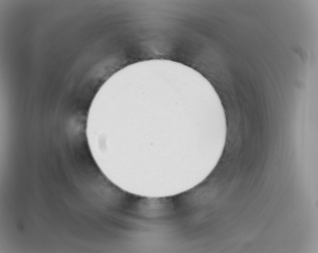 X0000113920672200910151441