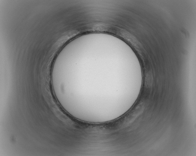 X0000113920673200910151440