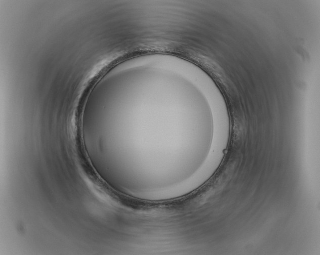X0000113920674200910151440