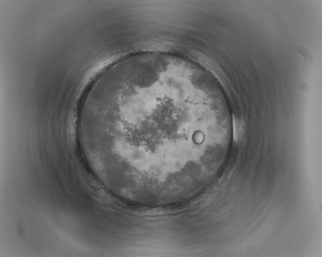 X0000113920675200910151440