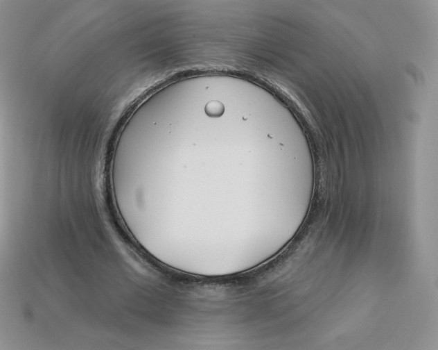 X0000113920677200910151440