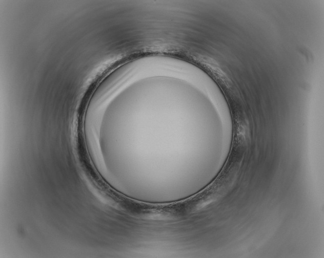X0000113920678200910151440