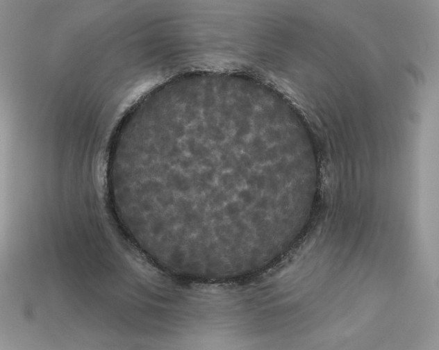 X0000113920679200910151440