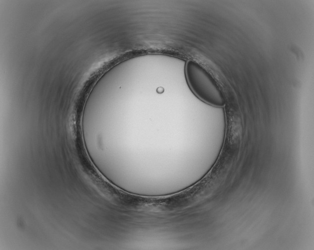 X0000113920680200910151440