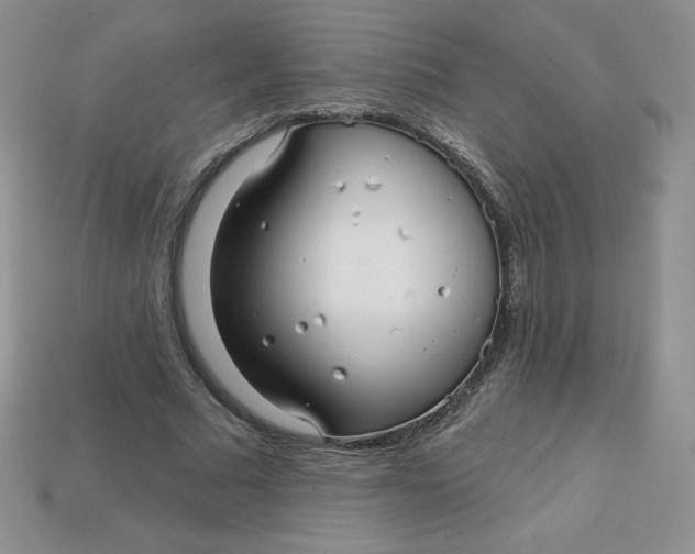 X0000113920681200910151440