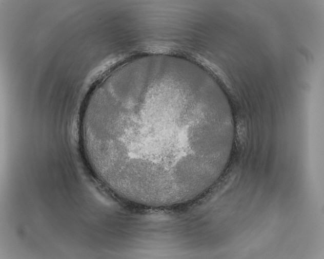 X0000113920682200910151440