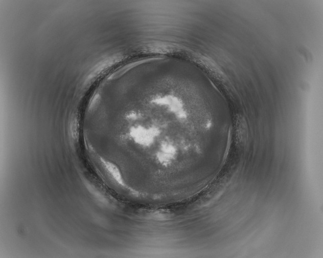 X0000113920683200910151440