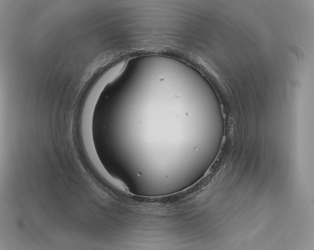 X0000113920685200910151440
