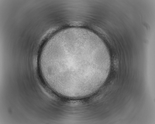 X0000113920686200910151440