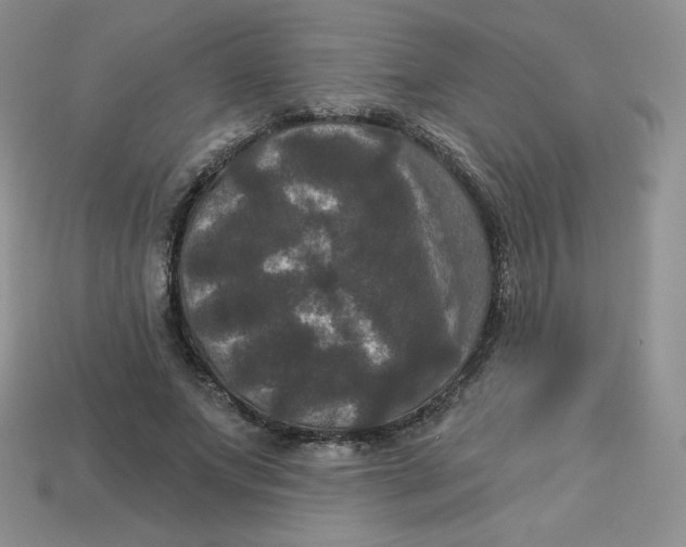 X0000113920687200910151440
