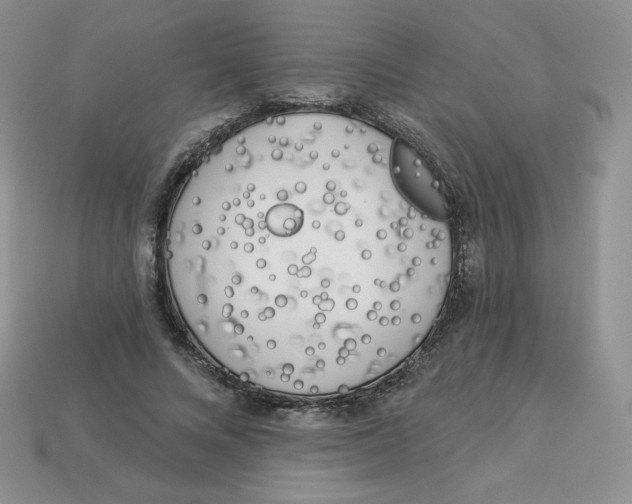 X0000113920688200910151440